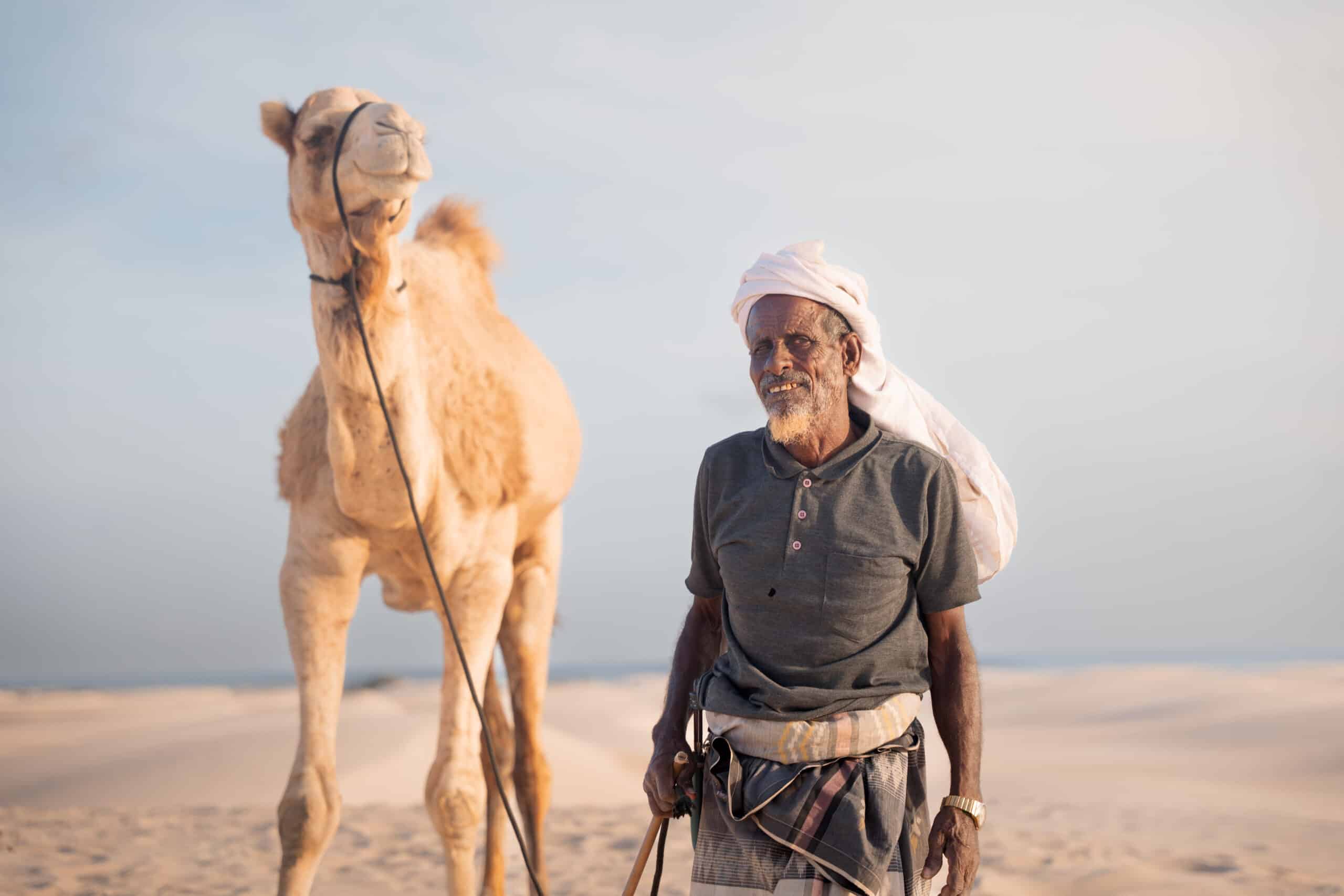 camel native socotrian traveling socotra