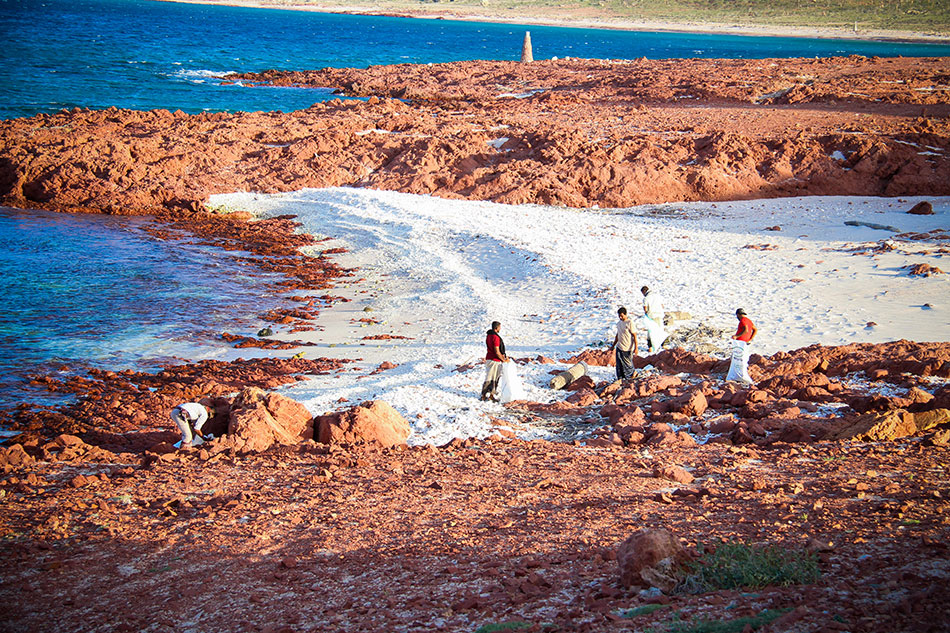 Plastic collection Socotra